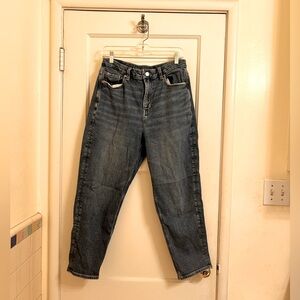 American Eagle Size 12 jeans curvy short